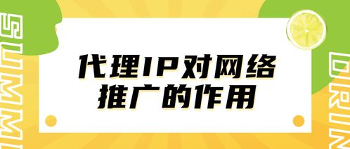 代理IP在網(wǎng)絡推廣中的關鍵作用