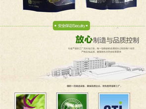 打造吸睛寵物食品詳情頁 高清PSD模板與廣告設(shè)計(jì)素材全攻略